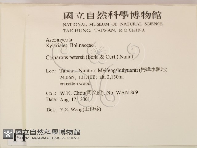 登錄號:F0013876藏品圖，第2張