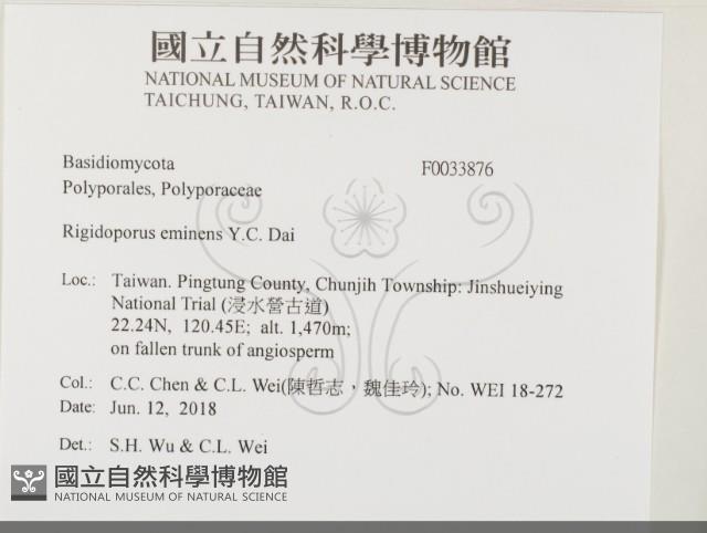 登錄號:F0033876藏品圖，第2張