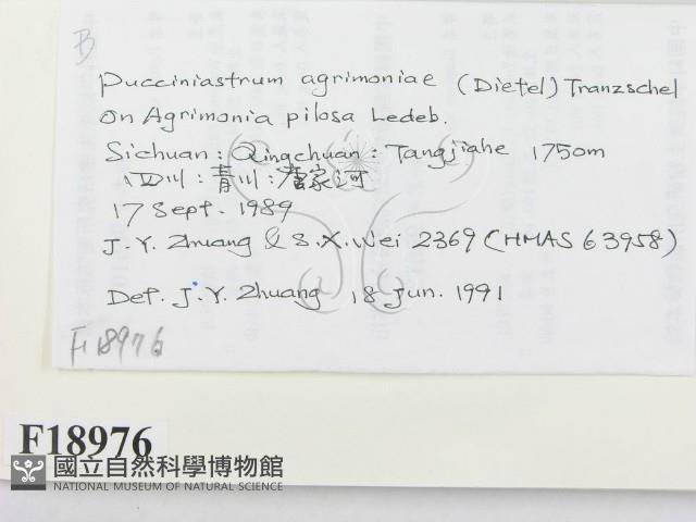 登錄號:F0018976藏品圖，第2張
