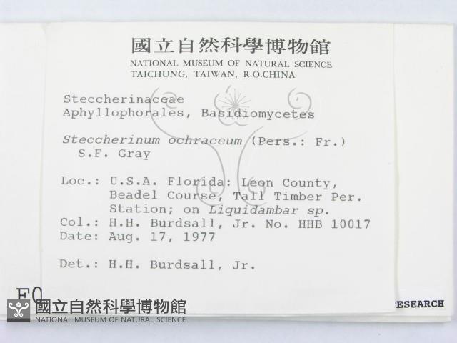 登錄號:F0000976藏品圖，第2張