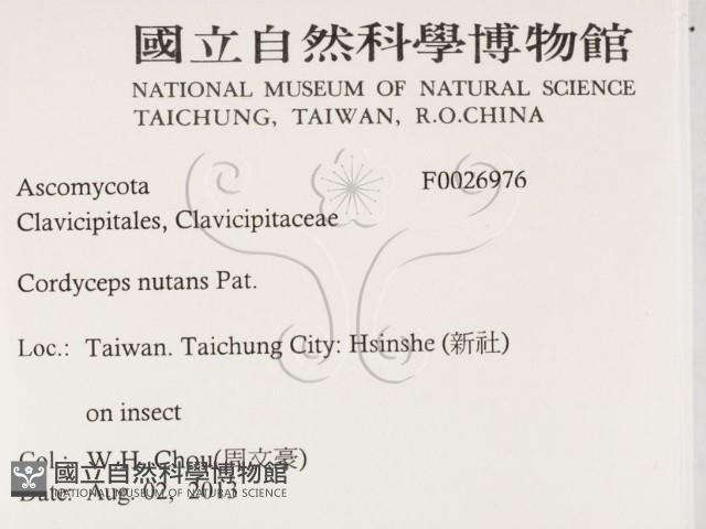 登錄號:F0026976藏品圖，第2張