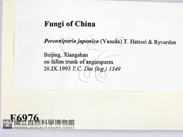 登錄號:F0006976藏品圖，第2張