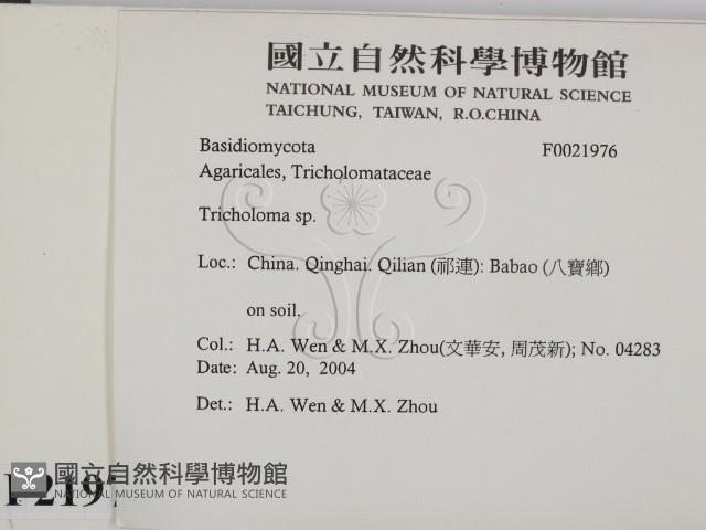 登錄號:F0021976藏品圖，第2張