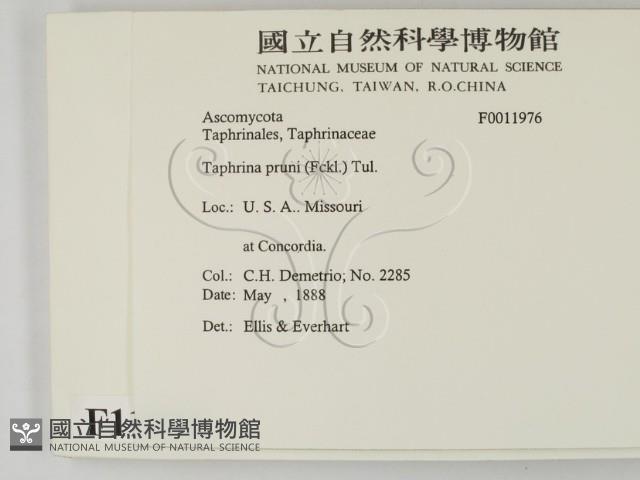 登錄號:F0011976藏品圖，第2張