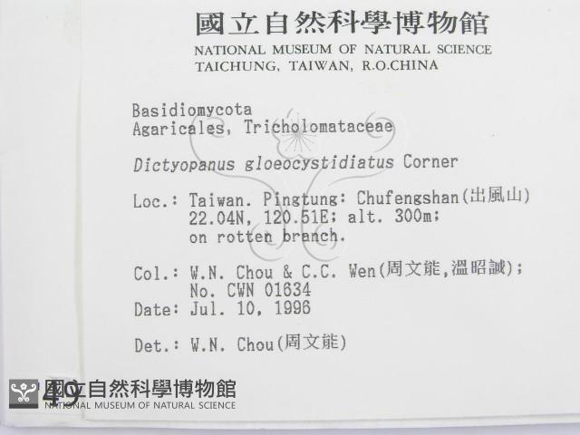 登錄號:F0004976藏品圖，第2張