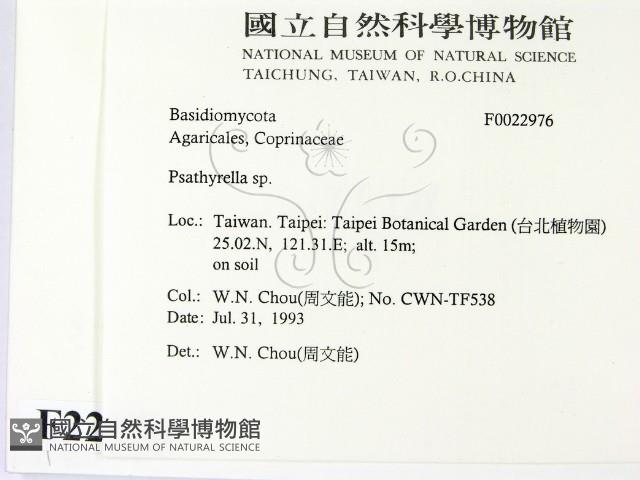 登錄號:F0022976藏品圖，第2張