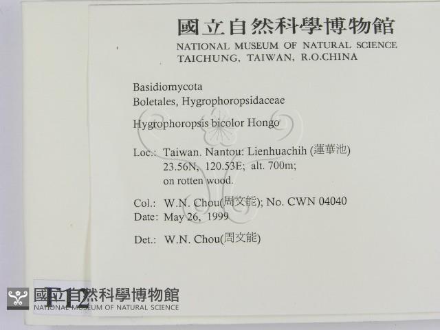 登錄號:F0012976藏品圖，第2張