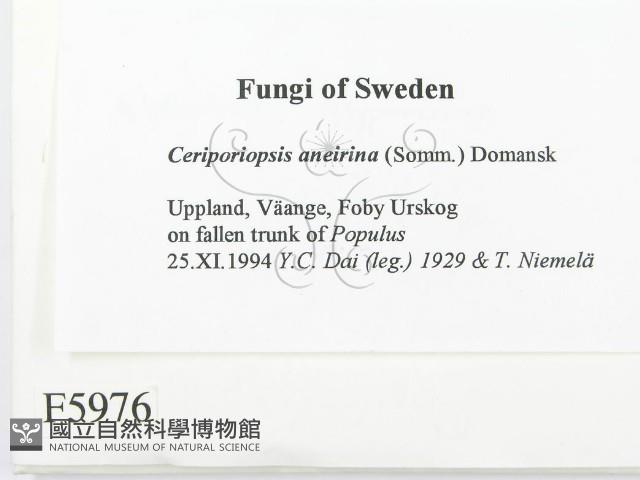 登錄號:F0005976藏品圖，第2張