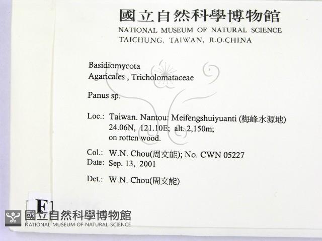 登錄號:F0015976藏品圖，第2張