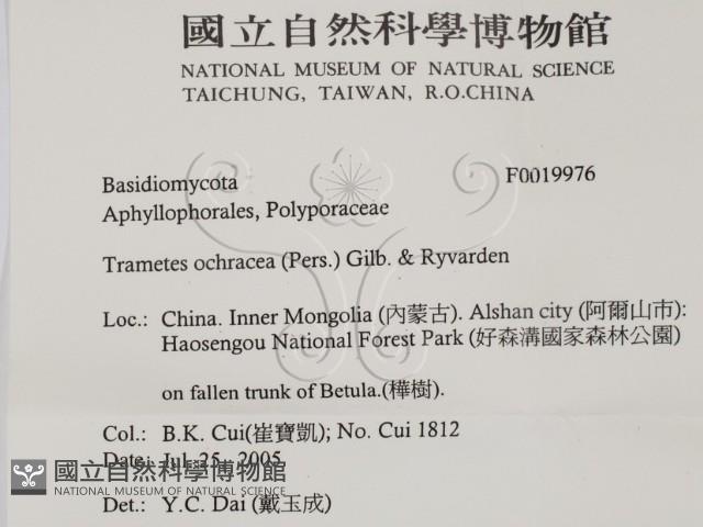 登錄號:F0019976藏品圖，第2張