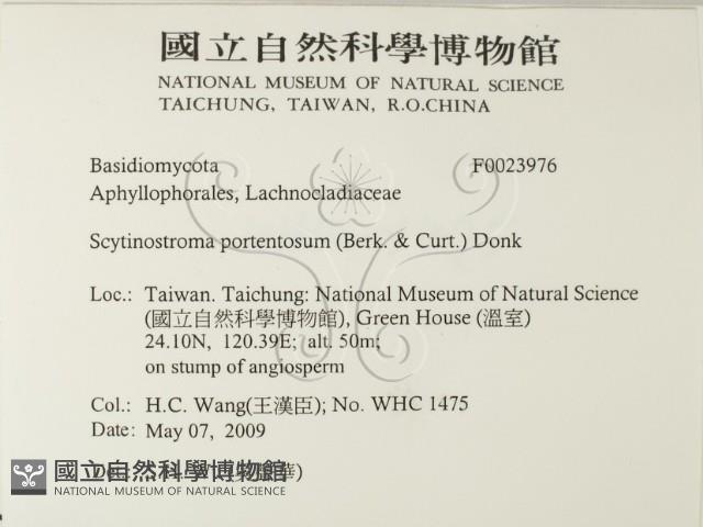 登錄號:F0023976藏品圖，第2張