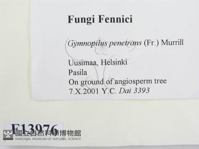 登錄號:F0013976藏品圖，第2張