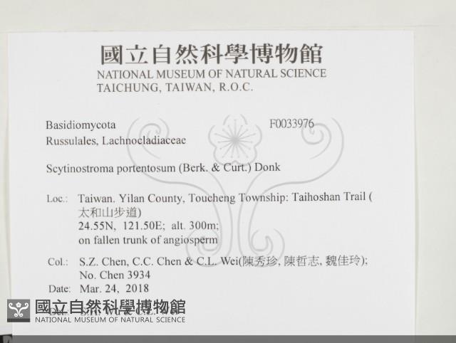 登錄號:F0033976藏品圖，第2張