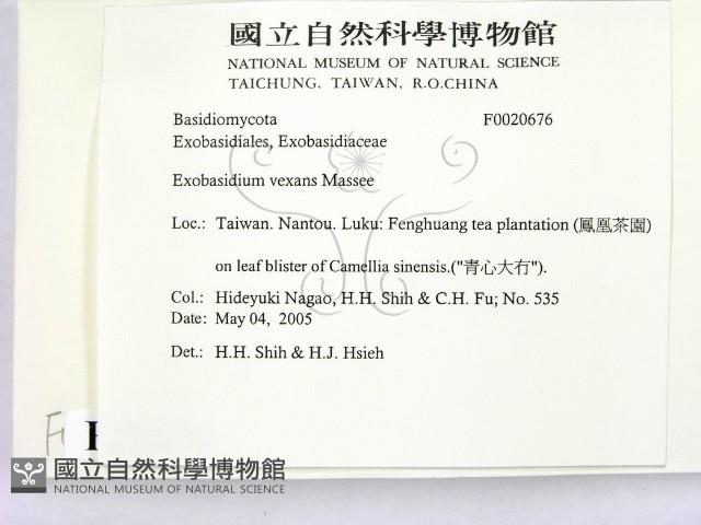 登錄號:F0020676藏品圖，第2張