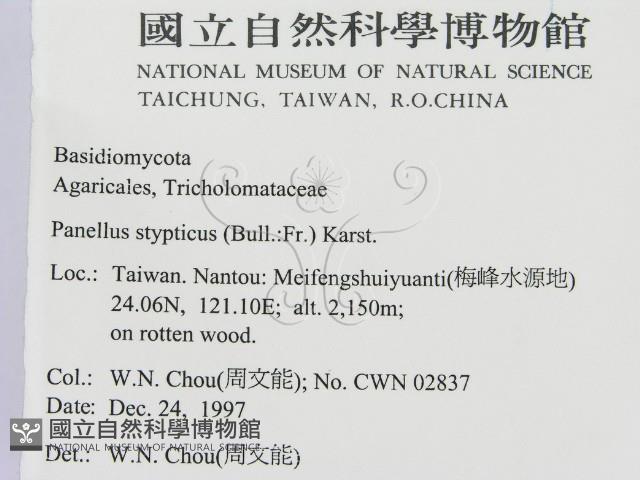 登錄號:F0010676藏品圖，第2張