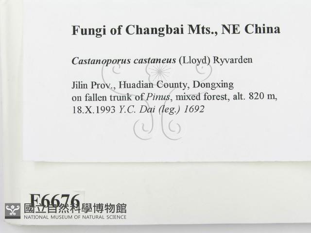 登錄號:F0006676藏品圖，第2張