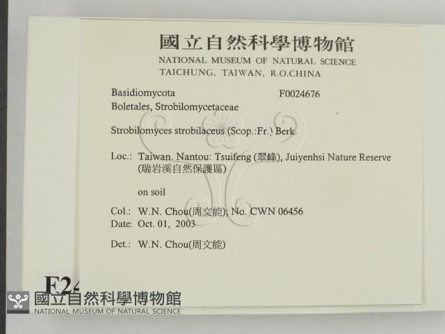 登錄號:F0024676藏品圖，第2張