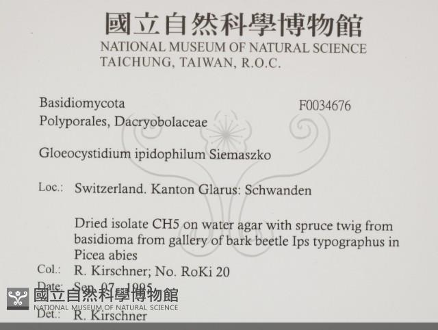 登錄號:F0034676藏品圖，第2張