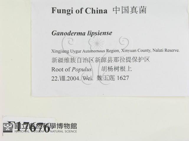 登錄號:F0017676藏品圖，第2張