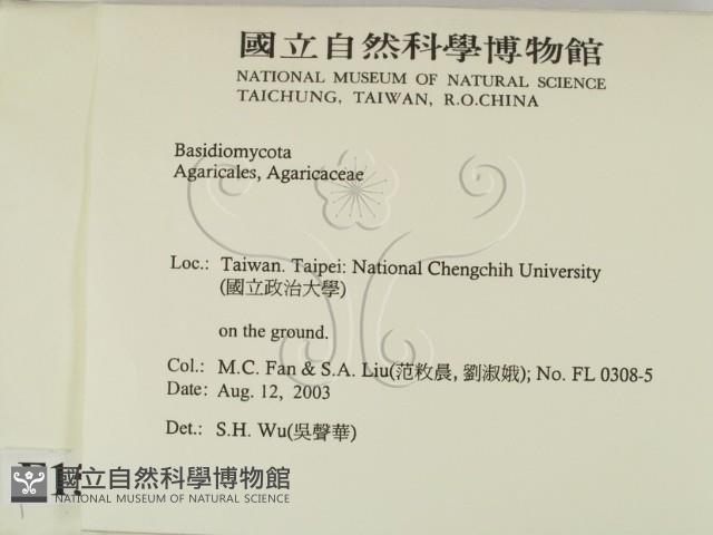 登錄號:F0015676藏品圖，第2張