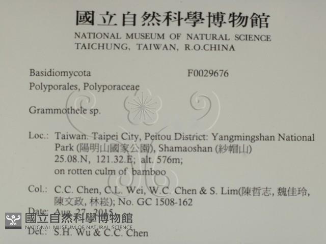 登錄號:F0029676藏品圖，第2張