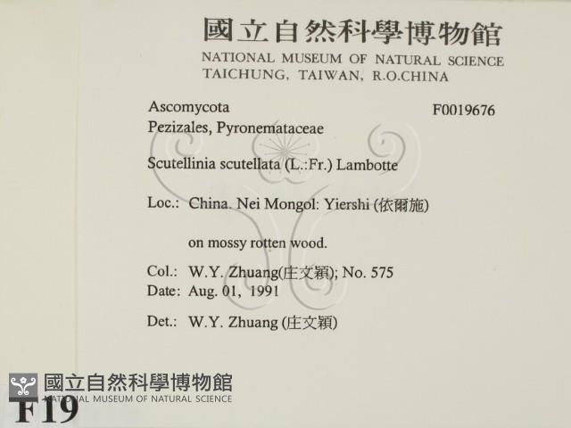 登錄號:F0019676藏品圖，第2張