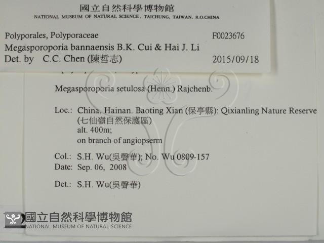 登錄號:F0023676藏品圖，第2張