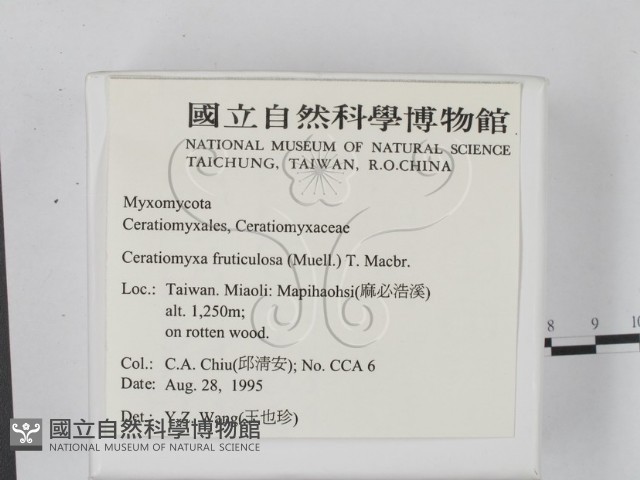 登錄號:F0003676藏品圖，第2張