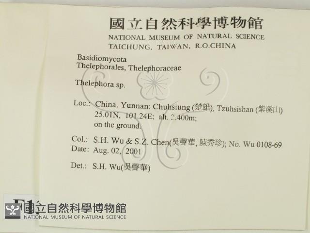 革菌屬藏品圖，第2張