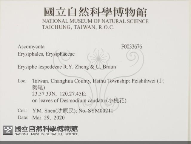 登錄號:F0033676藏品圖，第2張