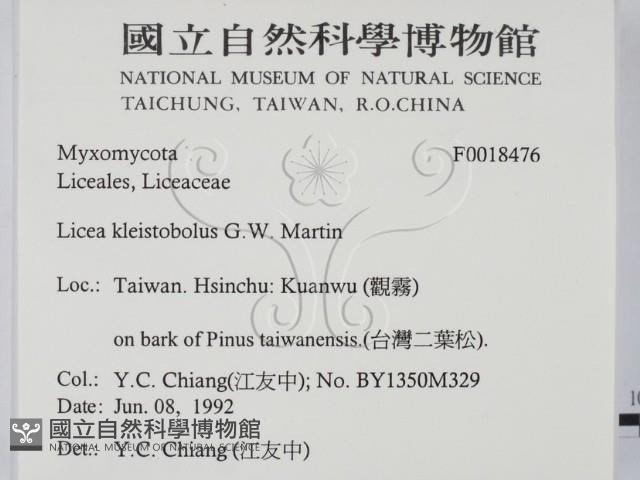 登錄號:F0018476藏品圖，第2張