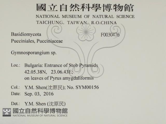 登錄號:F0030476藏品圖，第2張