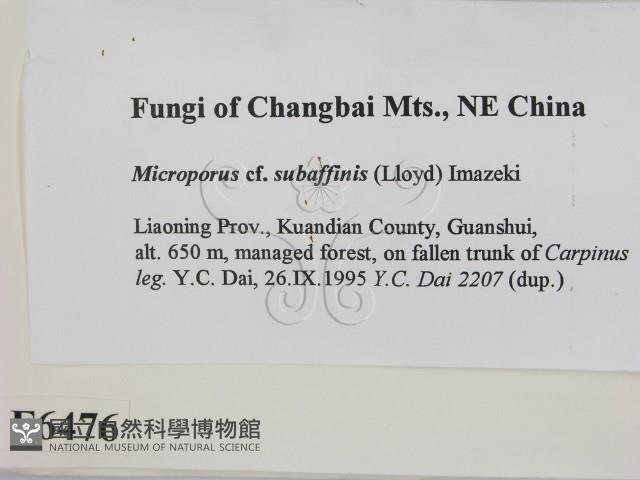 登錄號:F0006476藏品圖，第2張