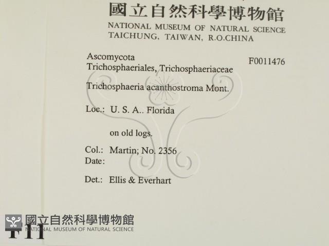 登錄號:F0011476藏品圖，第2張