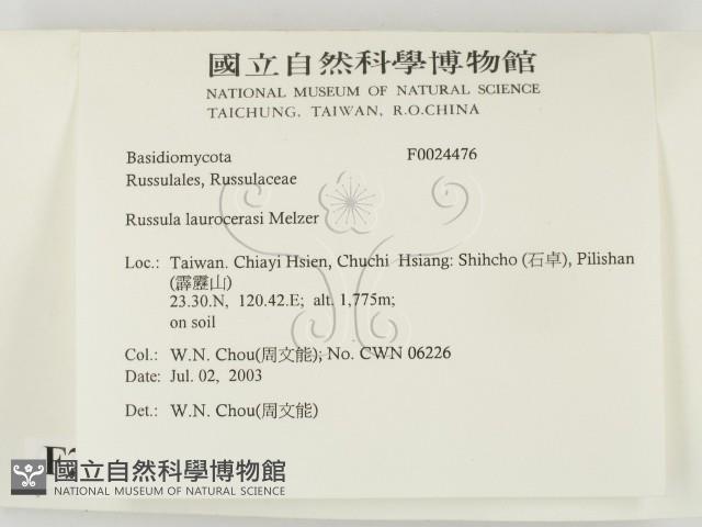 登錄號:F0024476藏品圖，第2張