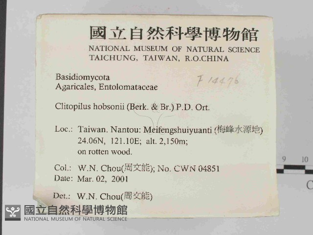 登錄號:F0014476藏品圖，第2張