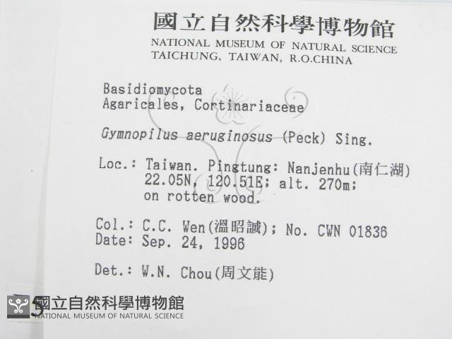 登錄號:F0005476藏品圖，第2張