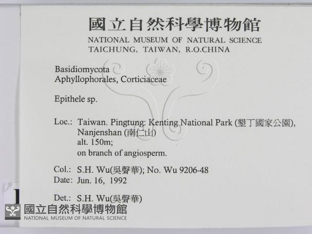 登錄號:F0015476藏品圖，第2張