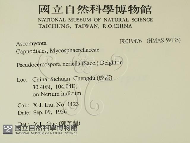 登錄號:F0019476藏品圖，第2張