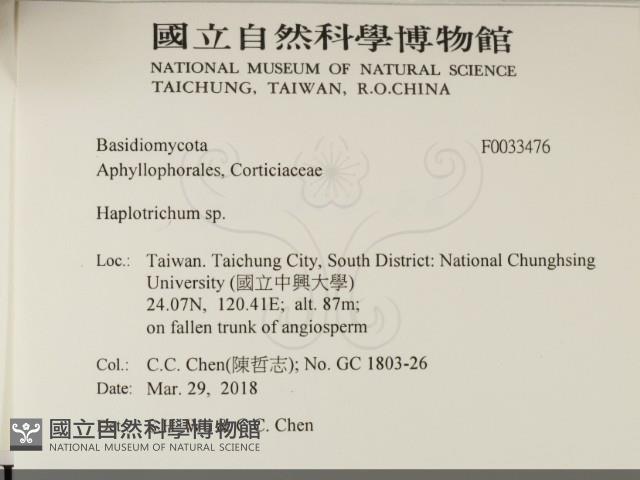 登錄號:F0033476藏品圖，第2張