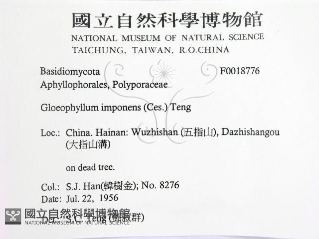 登錄號:F0018776藏品圖，第2張