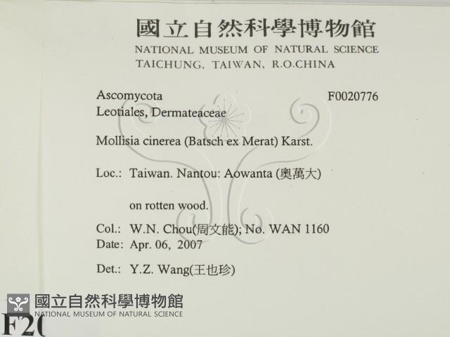 登錄號:F0020776藏品圖，第2張