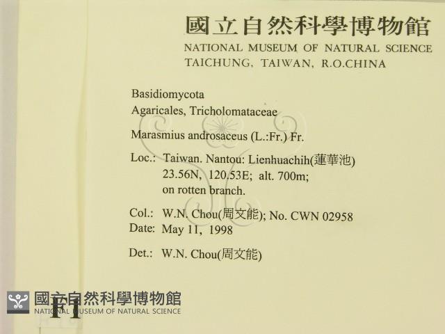 登錄號:F0010776藏品圖，第2張