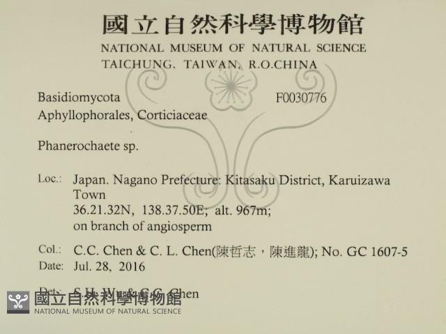 登錄號:F0030776藏品圖，第2張