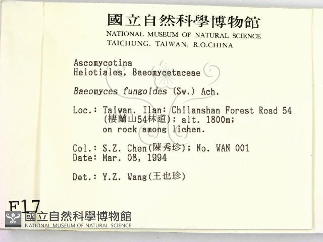 登錄號:F0001776藏品圖，第2張