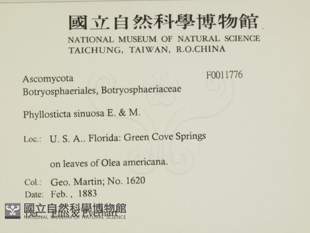 登錄號:F0011776藏品圖，第2張