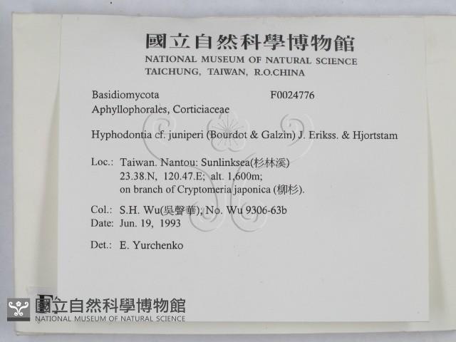 登錄號:F0024776藏品圖，第2張