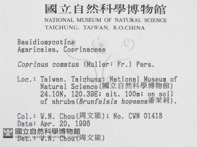 登錄號:F0004776藏品圖，第2張