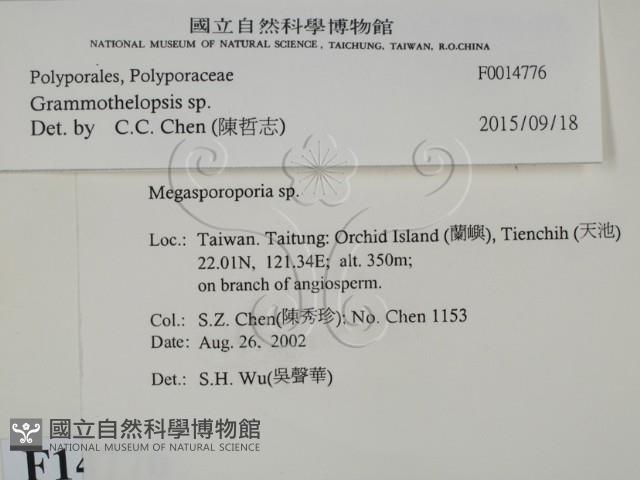 登錄號:F0014776藏品圖，第2張