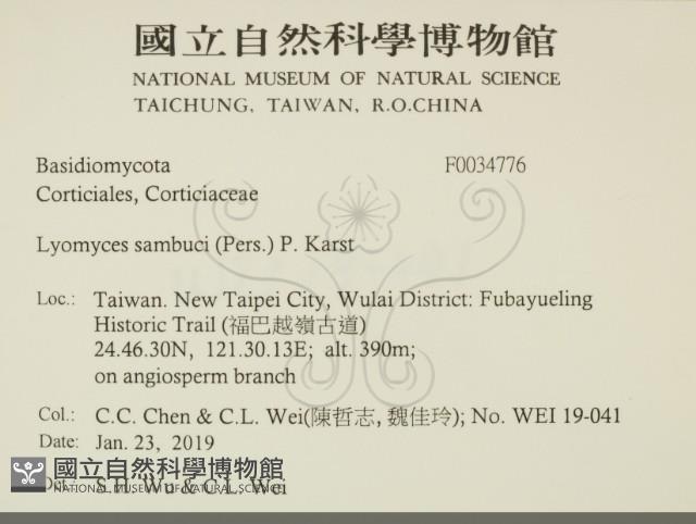 登錄號:F0034776藏品圖，第2張